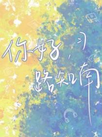 你好南先生