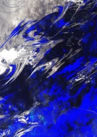 s级向导的治疗记录单哨向nph